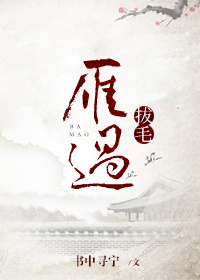 《雁過拔毛》封面