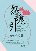 《怨魂引》封面