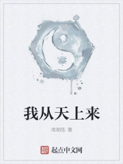 《我從天上來》封面