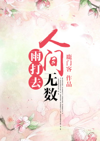 《人間無數雨打去》封面