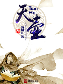 《天壺》封面