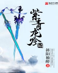 《紫青龍吟記》封面