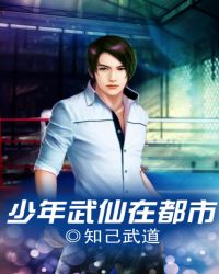 《少年武仙在都市》封面
