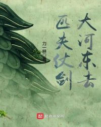 《匹夫仗劍大河東去》封面