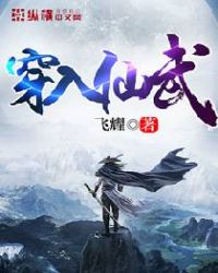 《穿入仙武》封面