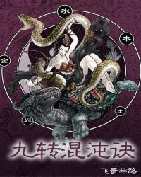 《九轉混沌訣》封面