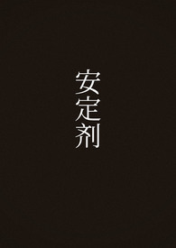 安定劑（1v1）
