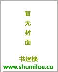 《穿越之極限奇兵》封面