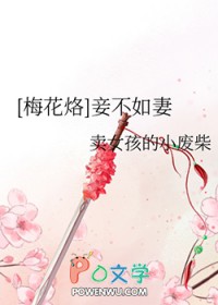 《[梅花烙]妾不如妻》封面