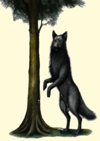 《獸慾城邦》封面