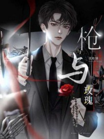 《槍與玫瑰》封面