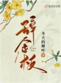 《辭金枝》封面