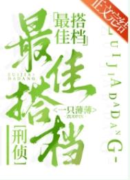 《最佳搭檔[刑偵]》封面