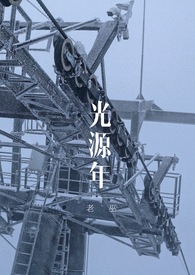 《光源年（np百合）》封面