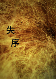 《失序》封面