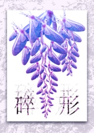 《碎形》封面