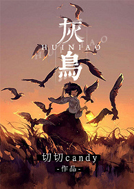 《灰鳥》封面