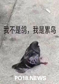《（人外）論活化石的新生活》封面
