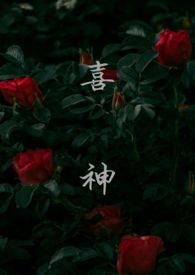 《喜神（1v1叔侄）》封面
