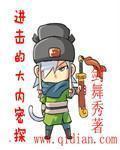 《進擊的大內密探》封面