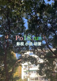 《惡性循環【故事合集】》封面