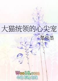《大貓統領的心尖寵（GL）》封面