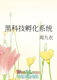 《黑科技孵化系統》封面
