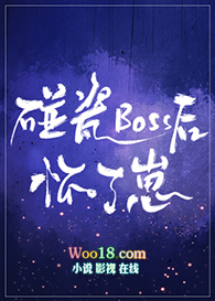 《碰瓷boss後懷了崽》封面