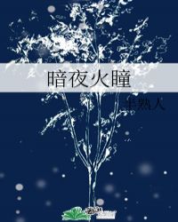 《暗夜火瞳》封面