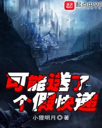 《可能送了個假快遞》封面