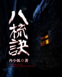 《八梳訣》封面