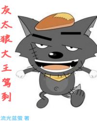 《灰太狼大王駕到》封面