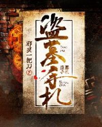 《盜墓手札》封面