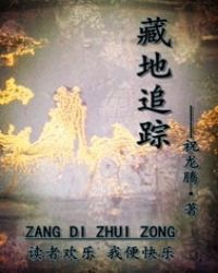 《藏地追蹤》封面