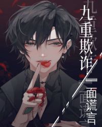 《九重欺詐一面謊言[無限]》封面