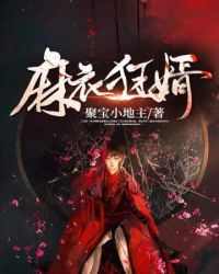 《麻衣狂婿》封面