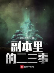 《副本里的二三事》封面