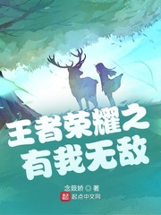 《王者榮耀之有我無敵》封面
