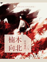 《楠木向北》封面