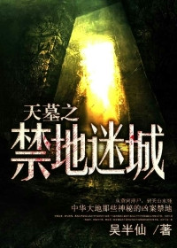 《天墓之禁地迷城》封面