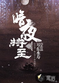 《暗夜將至》封面